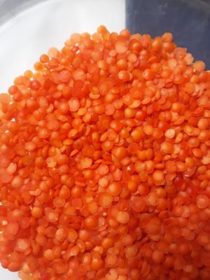 Kırmızı Mercimek