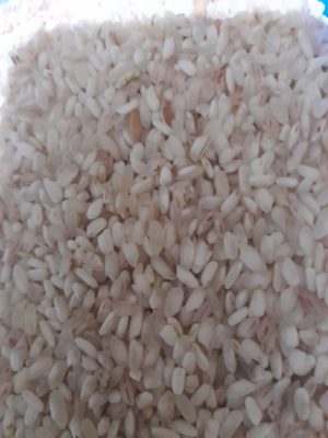 Tosya Yaşar Pirinci (Kepekli)