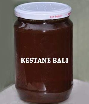 Kestane Balı