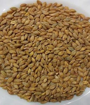 Siyez Buğdayı Aşurelik(Yarma Buğday)